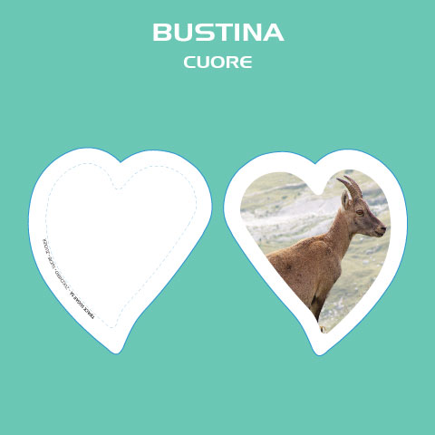 bustine_cuore_new